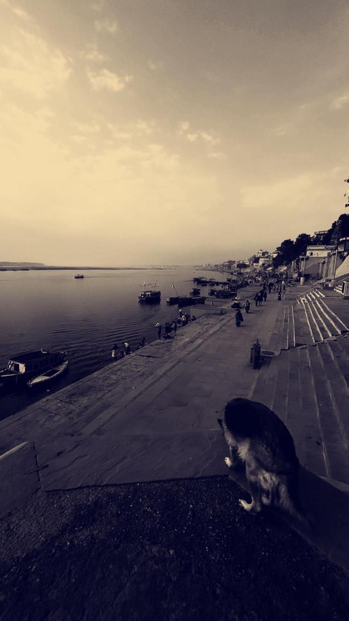 Tandon Lodge On The Ganga Ghat Homestay พาราณสี ภายนอก รูปภาพ